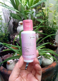 Sei Bella Whitening Deodorant FROM PHILIPPINES